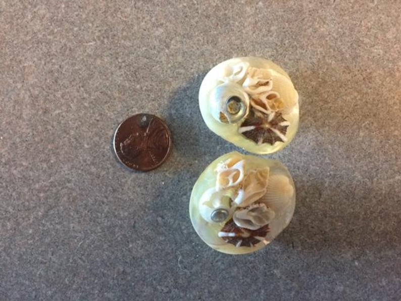 Retro Statement Earrings Clip on.So Unique VINTAGE Real SEASHELLS Earrings.Delicate 3D