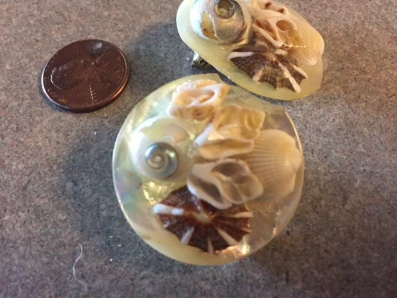 Retro Statement Earrings Clip on.So Unique VINTAGE Real SEASHELLS Earrings.Delicate 3D