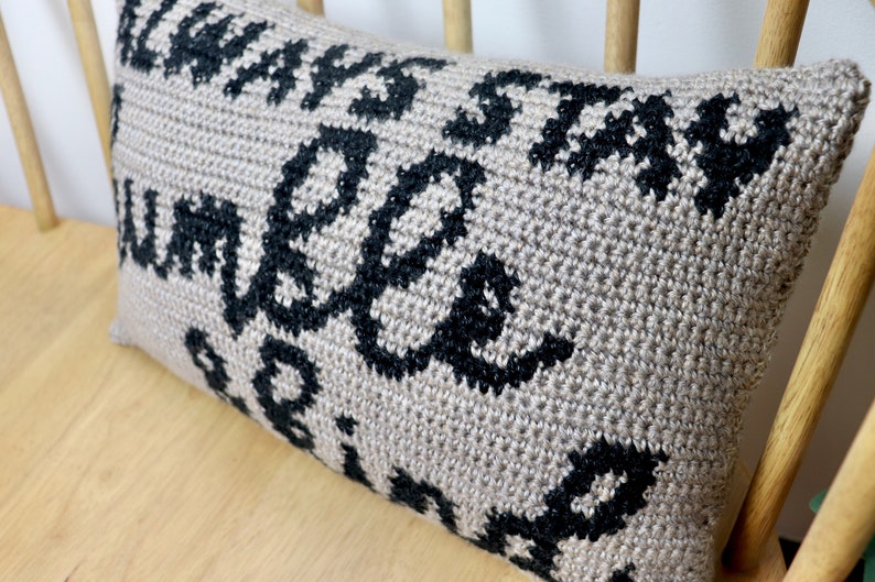 Humble and Kind Pillow Crochet Pattern, Pillow Crochet Pattern, Modern Pillow Crochet Pattern, Crochet Pillow, Home Decor, Beginner Crochet image 4