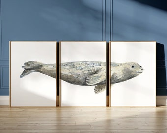 PRINTABLE Seal Watercolor Art Poster Set Of 3, Common Harbor Seal Large Triptych Bathroom Wall Art Print, Home Decor INSTANT DOWNLOAD