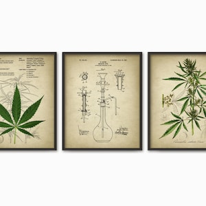 Cannabis Smoking Wall Art Print Set of 3 - Marijuana Smoking Wall Art - Pot Grass Hashish Educational Poster Set - Weed Bong Art