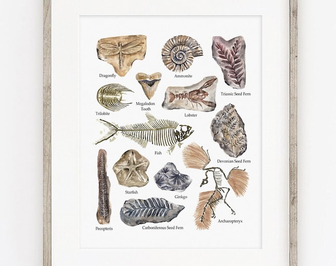 Fossil Print, Paleontology Watercolour Art Poster, Prehistoric Geology Scientific Illustration, Ammonite Trilobite Megalodon Archaeopteryx