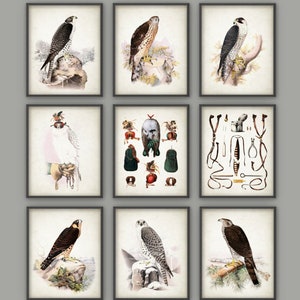Falconry Wall Art Print Set of 9, Birds Of Prey Posters, Falcon Art, Hawk Drawing, Falconer Art Gift Idea, Vintage Falconry Prints