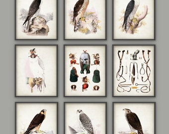 Falconry Wall Art Print Set of 9 - Falconry Art Print - Bird Of Prey - Falcon - Hawk - Hawking - Gamehawking - Falconer Art Gift Idea