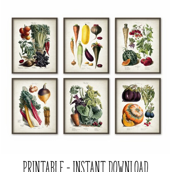 PRINTABLE Kitchen Vegetables Wall Art Print Set of 6, Vintage Botanical Prints, Rustic Farm Farmhouse Kitchen Decor INSTANT DOWNLOAD