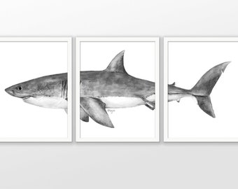 Stunning Great WHite Shark Canvas Art Print Poster 8 X 10/"