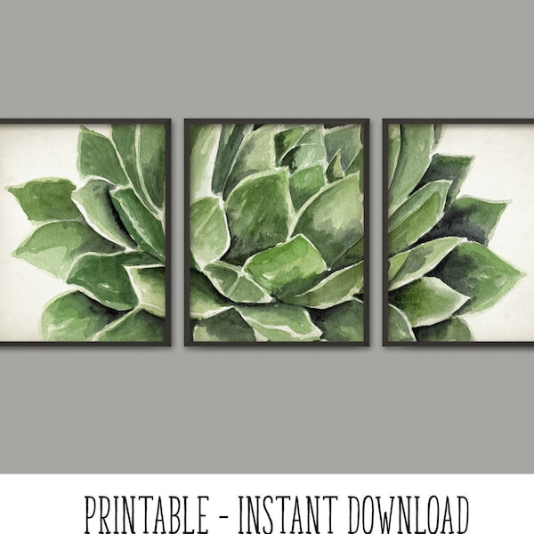 PRINTABLE Watercolor Succulent Art Print Set of 3, Succulent Painting, Botanical Home Decor, Green Plants Wall Art Set INSTANT DOWNLOAD