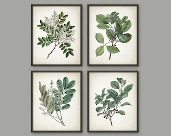 PRINTABLE Set of 4 Green Leaves Images, Antique Botanical Plant Drawings Wall Art Set, Rustic Decor Digital Print Poster INSTANT DOWNLOAD