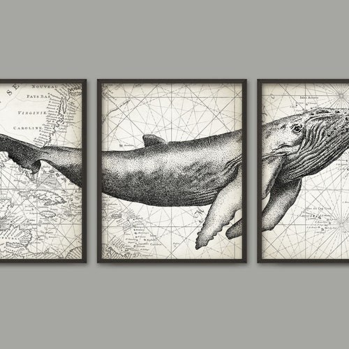 PRINTABLE Humpback Whale Wall Art Poster Set of 3 Whale Art - Etsy