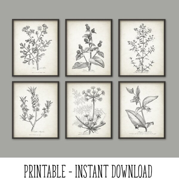 Botanical Download - Etsy