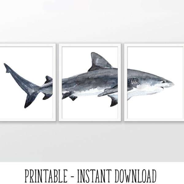 PRINTABLE Bull Shark Watercolor Art Poster Set Of 3, Bull Shark Art Print, Modern Bathroom Wall Art, Marine Biology INSTANT DOWNLOAD