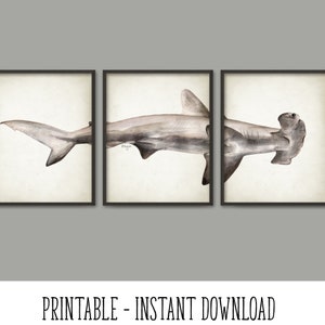 PRINTABLE Hammerhead Shark Watercolor Art Poster Set Of 3, Hammerhead Shark Art Print, Bathroom Wall Art, Marine Biology INSTANT DOWNLOAD