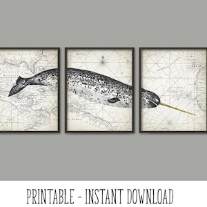 PRINTABLE Narwhal Wall Art Poster Set Of 3, Narwhale Art Print Triptych, Rustic Bathroom Wall Art, Marine Biology INSTANT DOWNLOAD