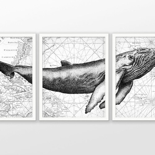 PRINTABLE Humpback Whale Wall Art Poster Set of 3 Whale Art - Etsy