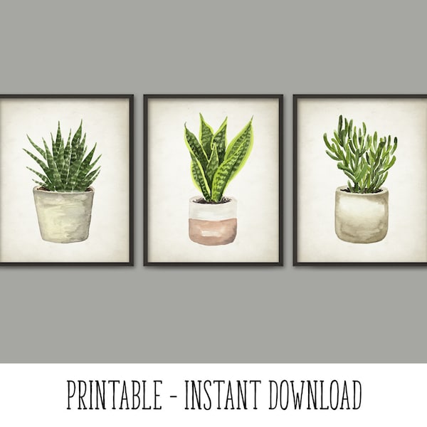 PRINTABLE Watercolor Succulent Art Print Set of 3, Succulent Painting, Botanical Home Decor, Green Plants Wall Art Set INSTANT DOWNLOAD