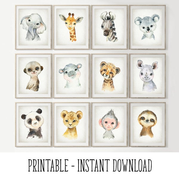 Zoo Animal Nursery Etsy