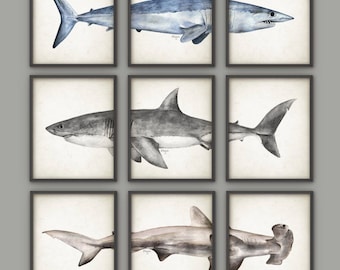May include: Set of nine watercolor paintings of different shark species, including a hammerhead, great white, and mako shark. Each painting is framed in a black frame and has a white background.