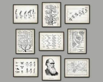 Evolution Wall Art Print Set of 9 - Biology Wall Art - Charles Darwin DNA Tree of Life Apes Skeletons Poster Set - Biology Student Gift Idea