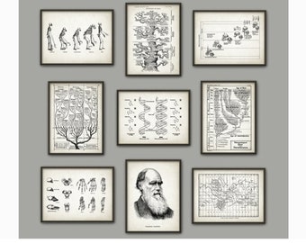 PRINTABLE Evolution Wall Art Print Set of 9, Biology Wall Art, Charles Darwin DNA Tree of Life Apes Skeletons Poster Set INSTANT Download