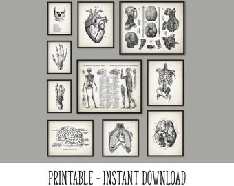 PRINTABLE Set of 10 Anatomy Images, Vintage Wall Art, Medical Student Dorm Room Decor, Antique Anatomy Digital Print Poster INSTANT DOWNLOAD