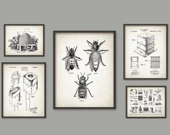 Vintage Beekeeping Print Set Of 5, Queen Bee Art, Worker Bee Drawing, Drone Bee, Honey Bee Art, Beehive Poster, Beekeeping Melittology
