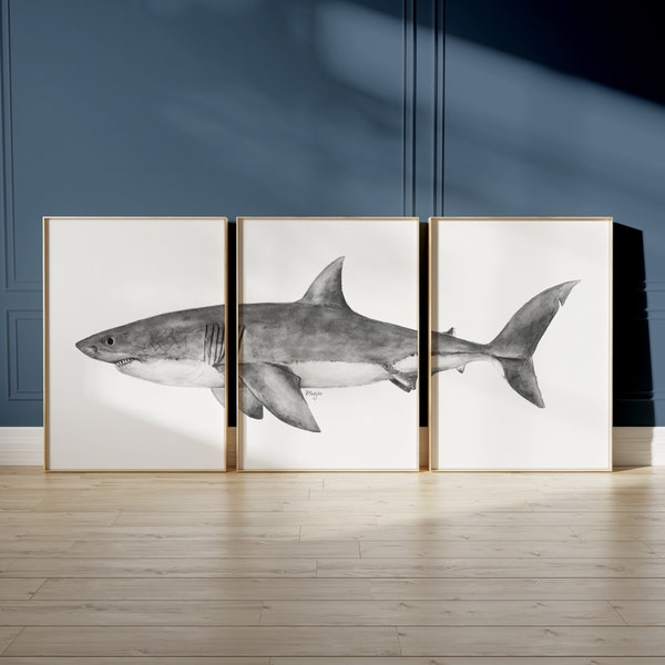 PRINTABLE Great White Shark Watercolor Art Poster Set Of 3, Great White Shark Art Print, Bathroom Wall Art, Marine Biology INSTANT DOWNLOAD