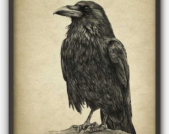 Raven Print, Crow Pencil Drawing, Rustic Bird Decor, Gothic Wall Art Poster
