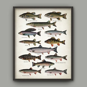 North American Game Fish Print - North American Lake And Stream Fish - Vintage Fishing Poster - Fishing Gift Idea - Angling - Angler Gift