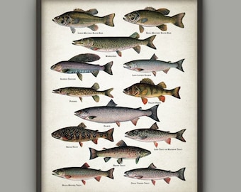 North American Game Fish Print - North American Lake And Stream Fish - Vintage Fishing Poster - Fishing Gift Idea - Angling - Angler Gift