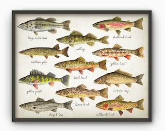 Fishing Wall Art Print, American Fish Watercolor Painting, Fly Fishing Art, Trout, Bass, Pike, Perch, Pike, Walleye, Angling Gift Idea