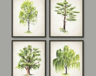 Trees Watercolor Art Print Set Of 4, Silver Birch Pine American Oak Weeping Willow Tree Art, Botanical Decor, Green Tree Painting Set
