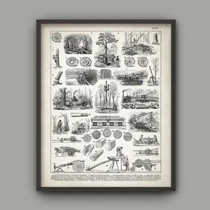 May include: A vintage black and white illustration depicting various stages of wood harvesting and processing. The image shows a detailed breakdown of the process, from felling trees to sawing lumber. The illustration is labeled with numbers and includes text in French.