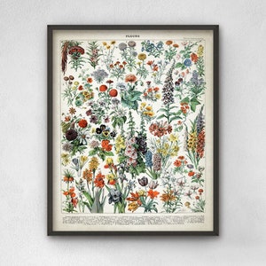 Vintage Flowers Print, Vintage Larousse Book Plate, Floral Garden Illustration, Kitchen Wall Art