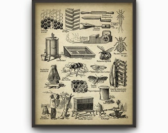 Peut inclure: Impression vintage encadrée avec des illustrations détaillées d'outils apicoles, de rayons de miel et d'insectes. L'impression comprend des étiquettes et des diagrammes en français liés à l'apiculture, offrant un attrait éducatif et esthétique.