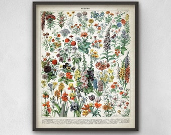 Vintage Flowers Print, Vintage Larousse Book Plate, Floral Garden Illustration, Kitchen Wall Art