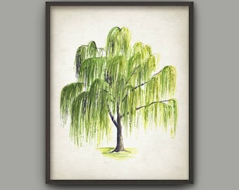 Weeping Willow Tree Watercolor Print, Woodland Poster, Tree Painting, Forest Decor, Green Botanical Nature Leaves Wall Art
