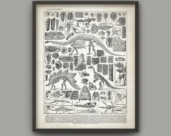 Dinosaur Paleontology Art Print, Prehistoric Animals Poster, Geology Student Chart, French Fossil Book Plate Illustration
