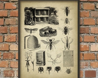 Peut inclure: Une illustration vintage d'une ruche et d'abeilles. L'image montre une ruche, un rayon de miel et diverses abeilles dans différentes poses. L'illustration est en noir et blanc et présente un style détaillé et complexe.