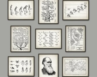 Evolution Wall Art Print Set of 9 - Biology Wall Art - Charles Darwin DNA Tree of Life Apes Skeletons Poster Set - Biology Student Gift Idea