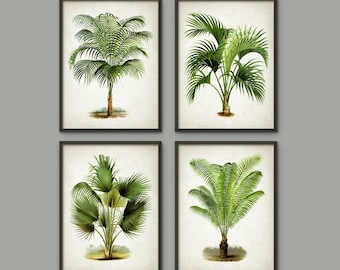 Palm Tree Botanical Wall Art Print Set of 4 - Modern Home Decor - Palm Tree Book Illustration Prints  -Palm Tree Botanical Prints