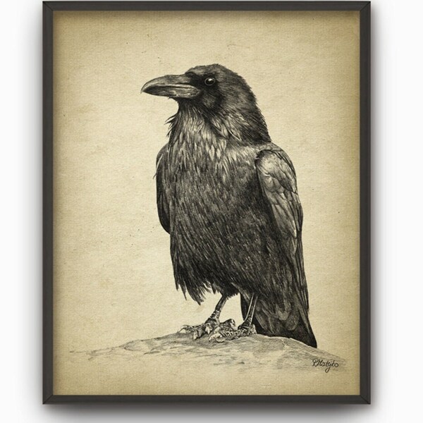 PRINTABLE Raven Print, Raven Wall Art Poster, Raven Pencil Drawing, Gothic Art Poster Corvidae Bird Sketch, Corvid Wall Art INSTANT DOWNLOAD