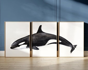 PRINTABLE Killer Whale Watercolor Art Poster Set Of 3, Large Killer Whale Orca Triptych Print, Bathroom Wall Art Home Decor INSTANT DOWNLOAD