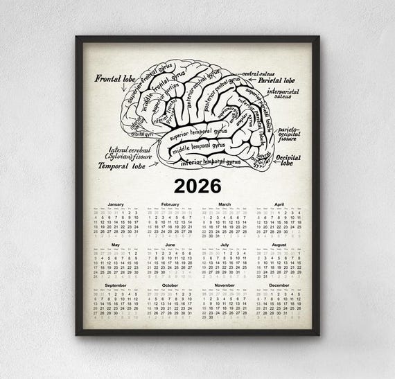 Vintage Brain Chart Calendar 2026, Antique Human Brain Anatomy