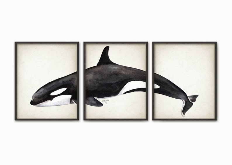 Killer Whale Watercolor Wall Art Poster Set of 3, Orca Whale Art Print ...