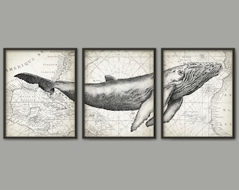 Humpback Whale Wall Art Poster Set Of 3 - Whale Art Print - Humpback Whale Poster - Humpback Whale Wall Art - Marine Biology