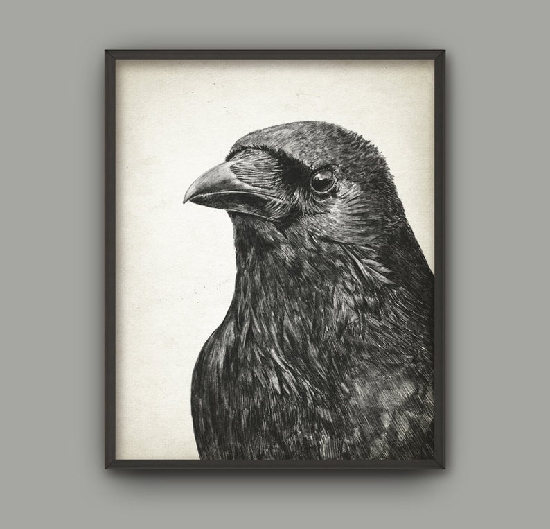 Raven Bird Art Print Raven Pencil Drawing Print Raven Decor Raven Bird Picture Raven Wall Art Print Gothic Art Poster