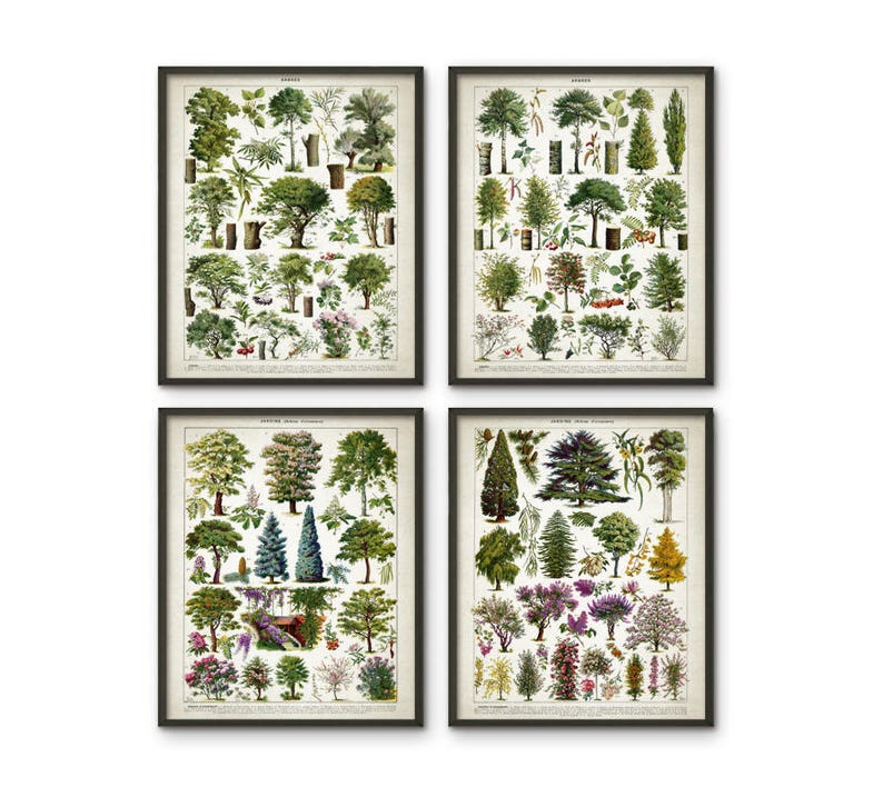 Vintage Tree Art Print Set of 4 - Tree Print - Tree Wall Art - Green ...