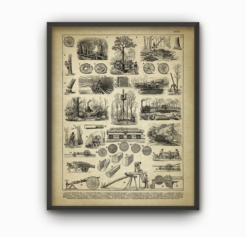 May include: A vintage black and white illustration depicting various stages of lumber production. The image shows a variety of tools and techniques used in the process, including felling trees, sawing logs, and transporting lumber. The image is labeled "BOIS" and includes numbers 1 through 37.