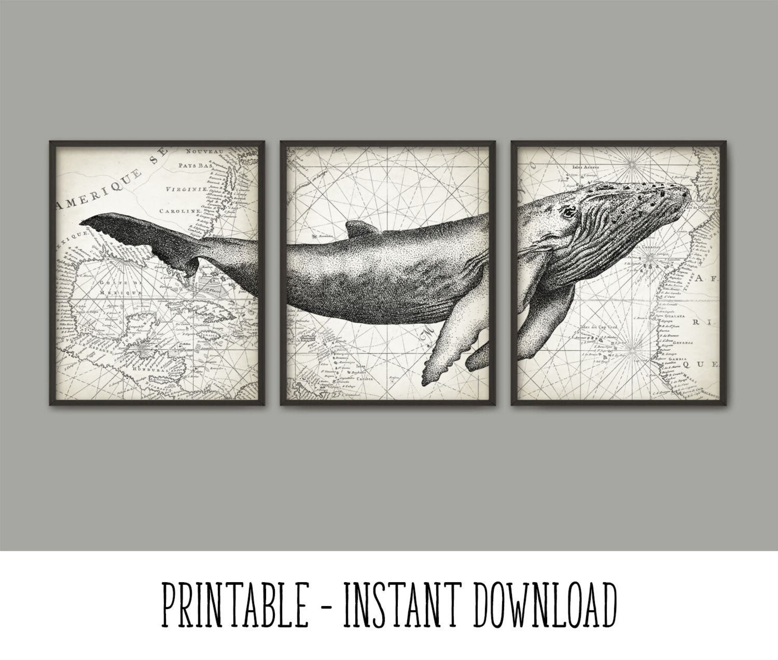 PRINTABLE Humpback Whale Wall Art Poster Set of 3 Whale Art | Etsy
