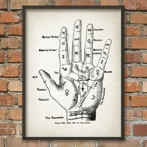Palmistry Hand Diagram Wall Art Poster - Antique Hiromancy Drawing - Palmistry Art Print - Fortune Telling Light Ivory